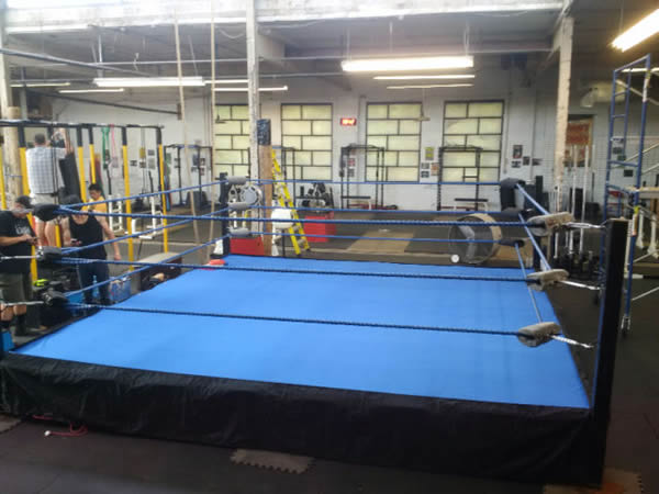 16' x 16' Low Ring with Blue Ropes and Blue Canopy