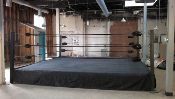 16' x 16' Low Ring with Black Ropes and Black Canopy